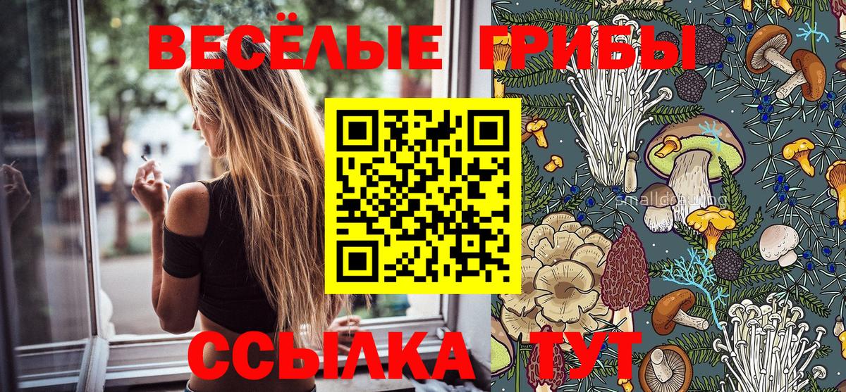 Псилоцибиновые грибы мицелий  Вход с VPN  Кропоткин 